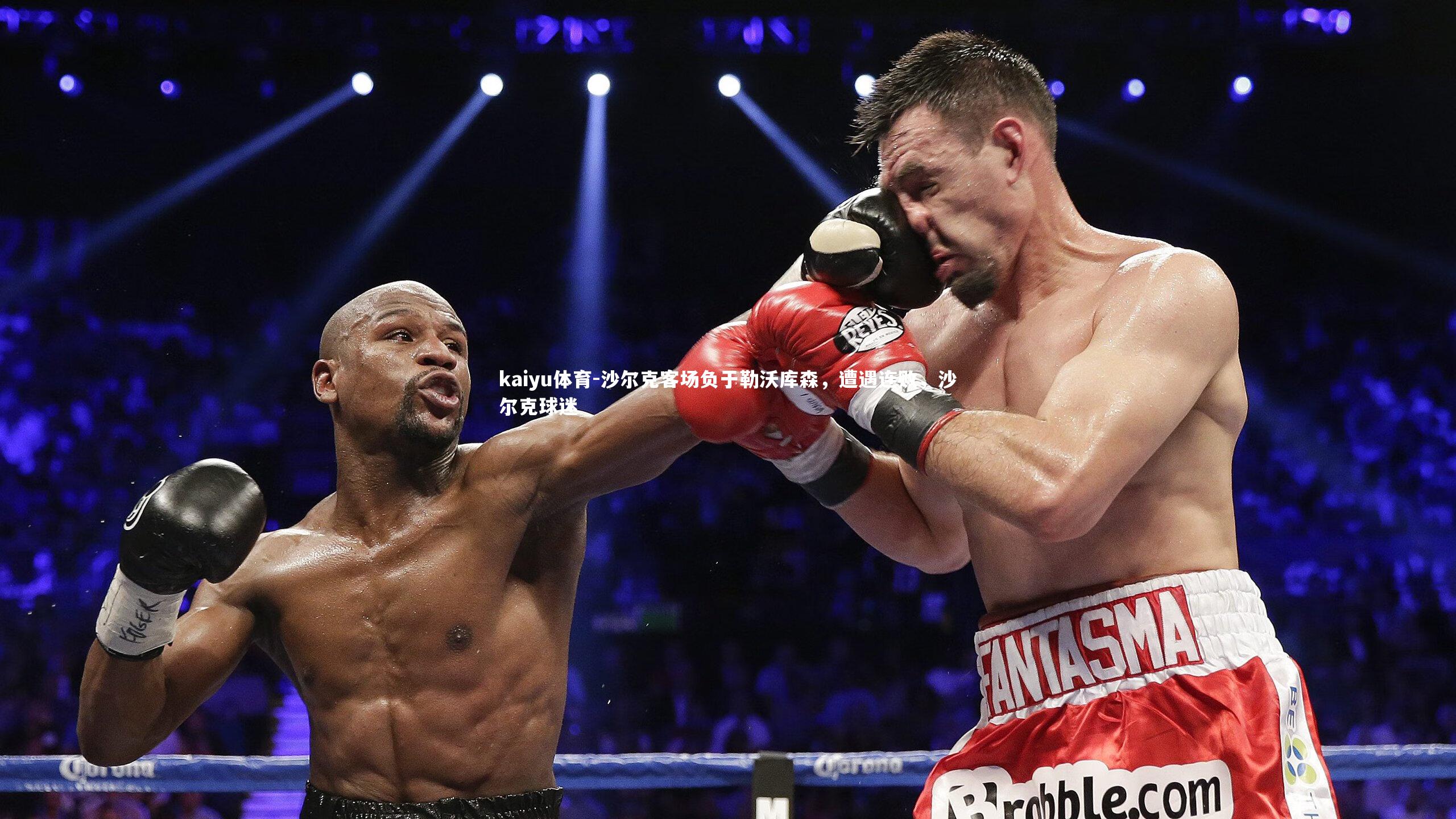 沙尔克客场负于勒沃库森,遭遇连败,沙尔克球迷