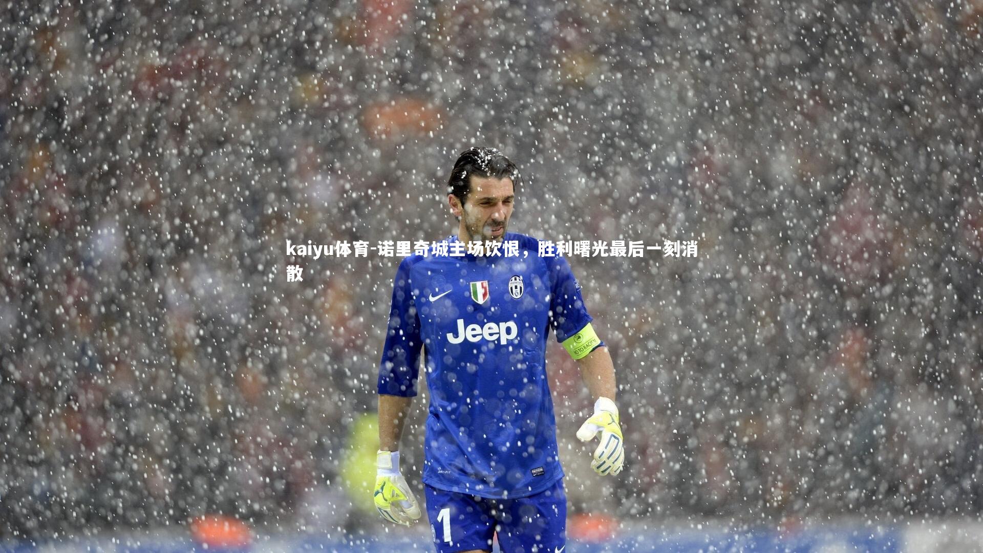 kaiyu体育-诺里奇城主场饮恨，胜利曙光最后一刻消散